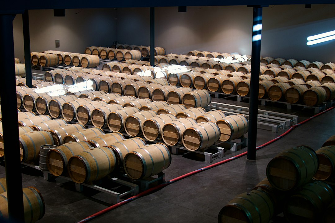 Château Margaux: vino e architettura nel Médoc - 33460 Margaux-Cantenac | Secret World Trip Planner