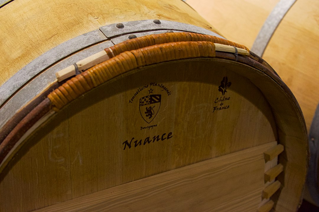 Château Margaux: Wine and Architecture in Médoc - 33460 Margaux-Cantenac | Secret World Trip Planner