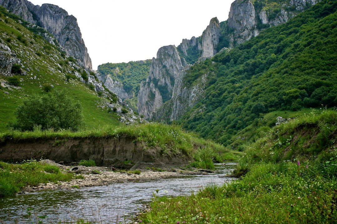 Мурфатлар: вино и подземные винодельни Румынии - Strada Murfatlarului 1 | Secret World Trip Planner