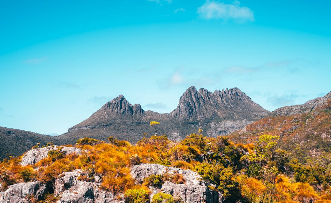 Overland Track : le trekking de 65 km en Tasmanie - Overland Track | Secret World Trip Planner