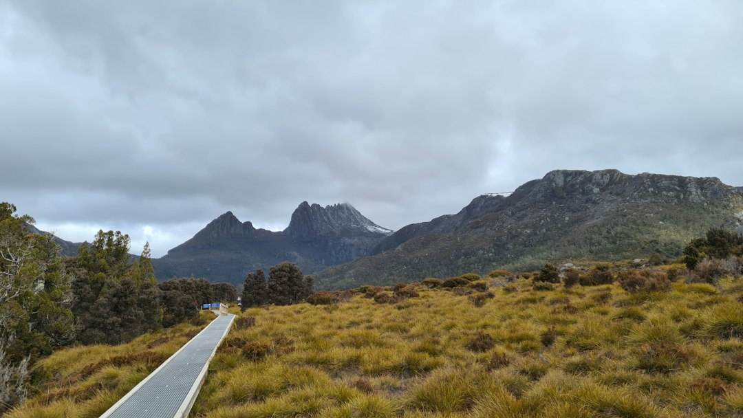 Overland Track: o trekking de 65 km na Tasmânia - Overland Track | Secret World Trip Planner