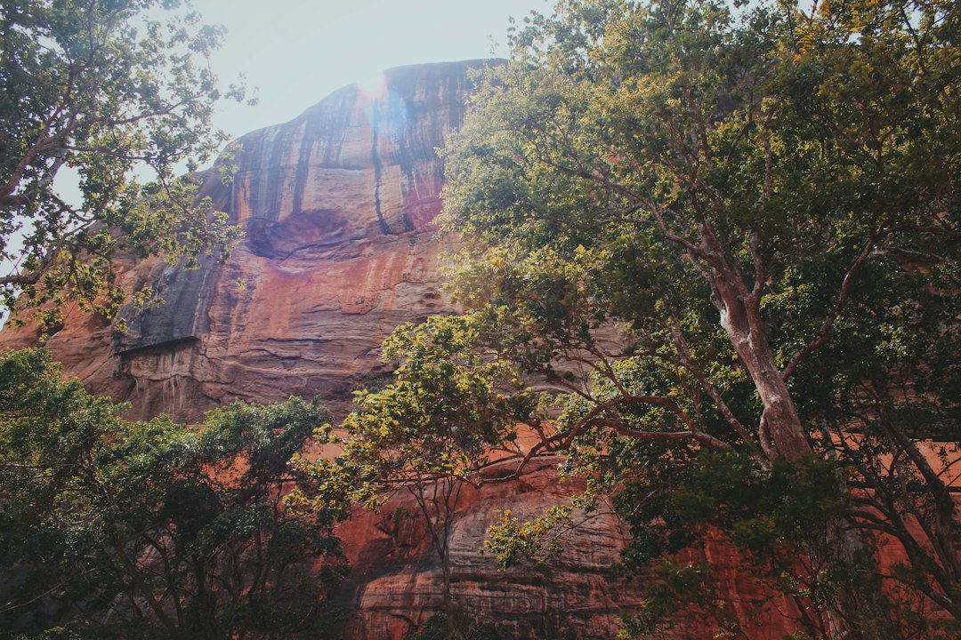 Entdecke den Zauber des Sigiriya Löwenfels - XQ46+R46 | Secret World Trip Planner