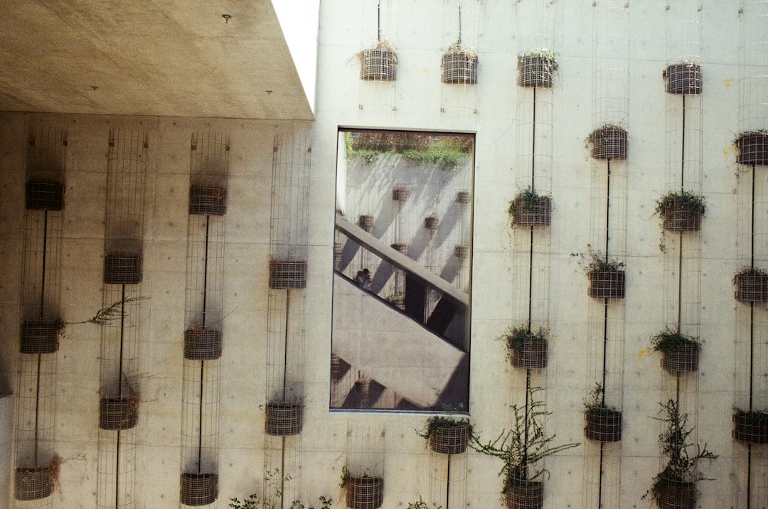 Entdecken Sie zeitgenössische Kunst im M+ Museum Hongkong - West Kowloon | Secret World Trip Planner