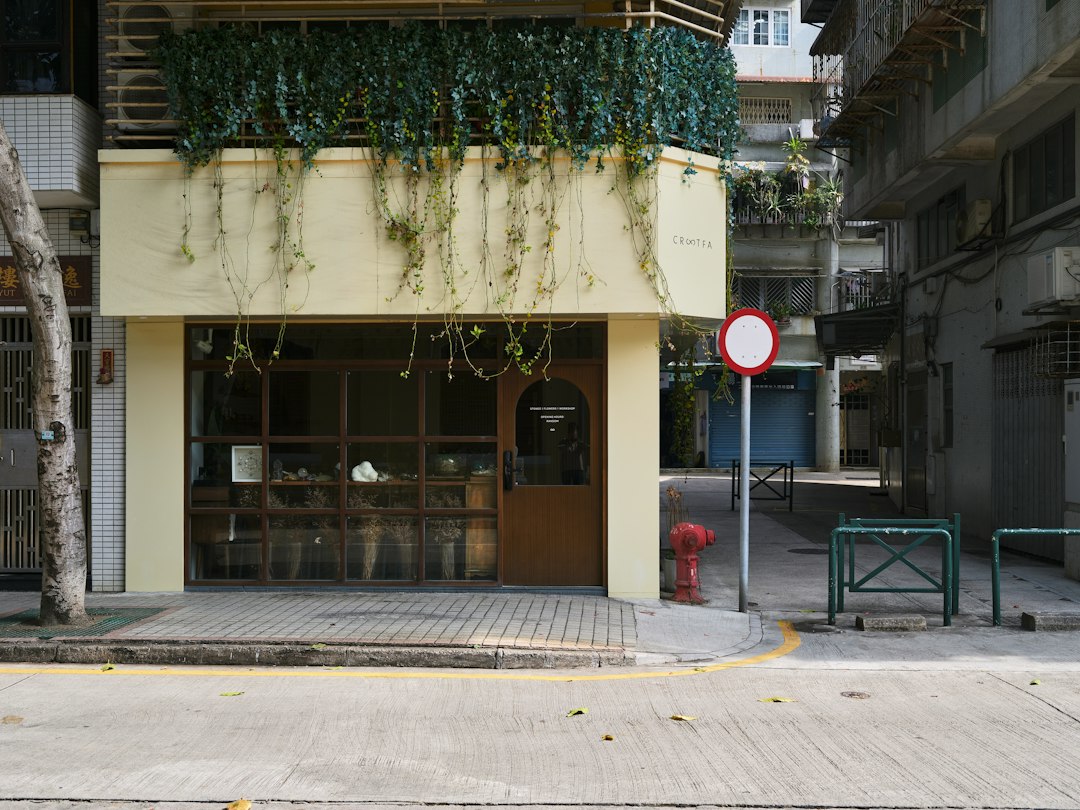15 Hidden Gems in Taipa — beyond the postcard