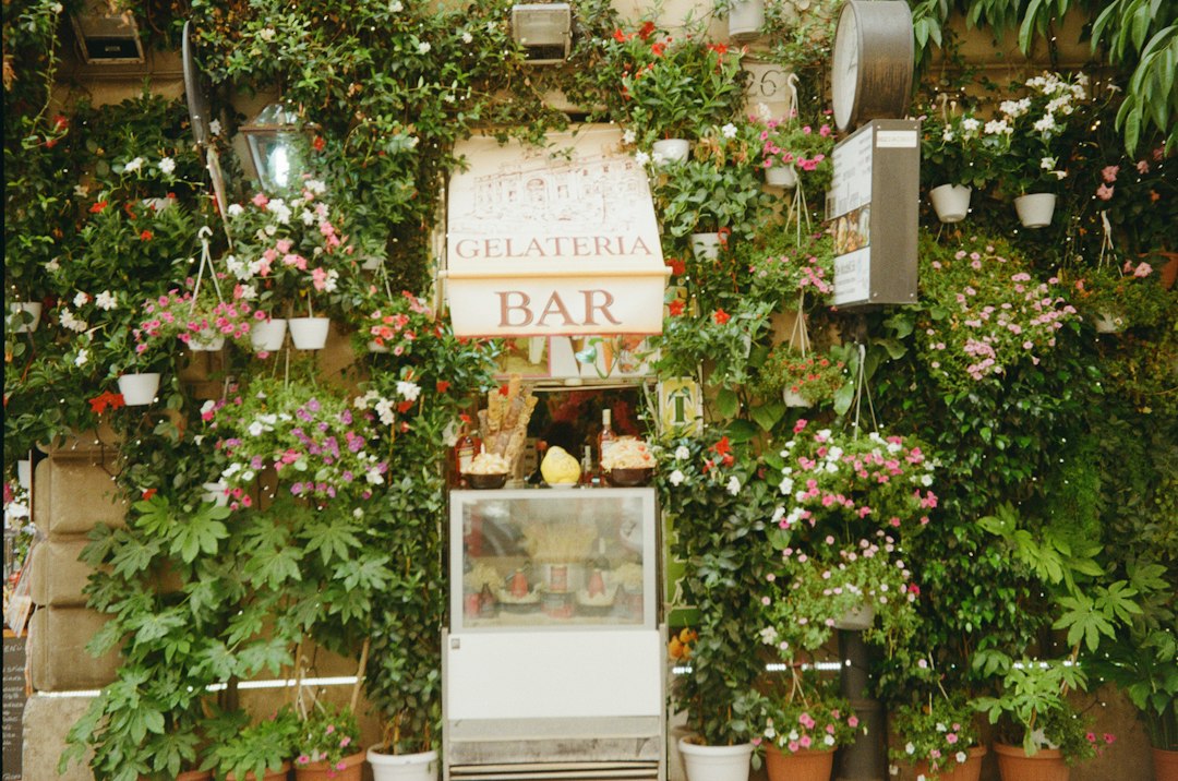Il Giardino Lou Lim Ioc: Un'Oasi a Macao: the art of the borrowed view