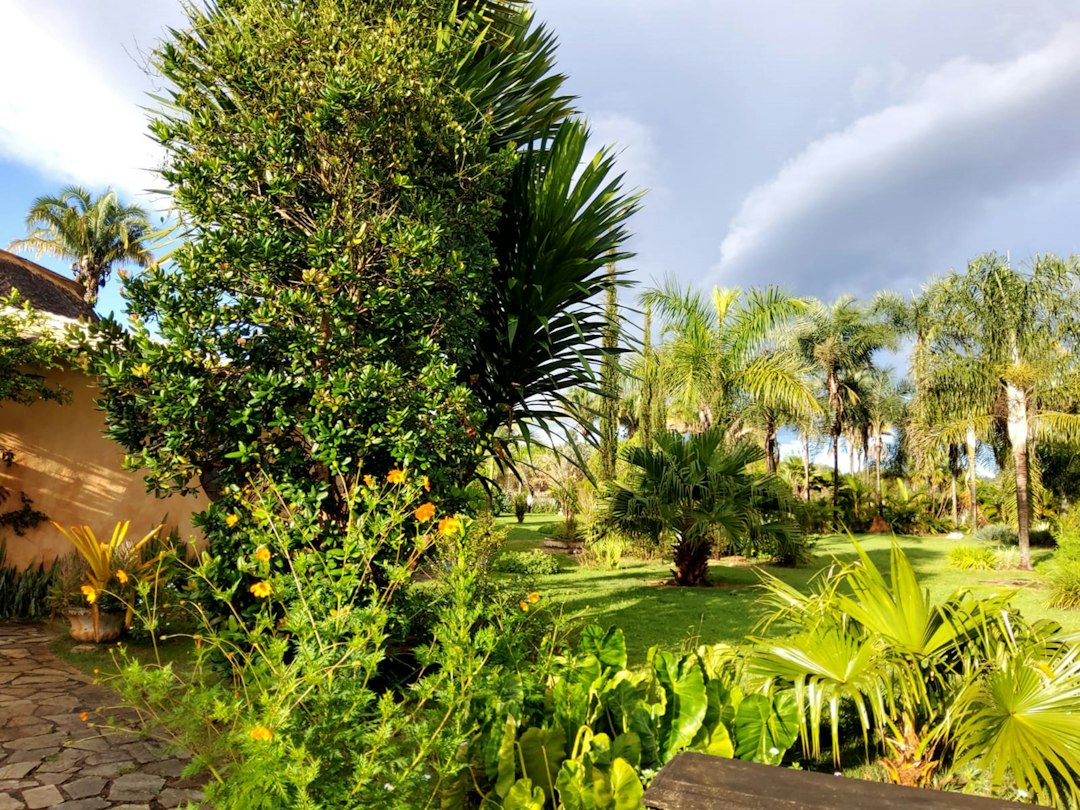 Le Jardin Lou Lim Ioc : Une Oasis à Macao - 10 Estr. de Adolfo Loureiro | Secret World Trip Planner