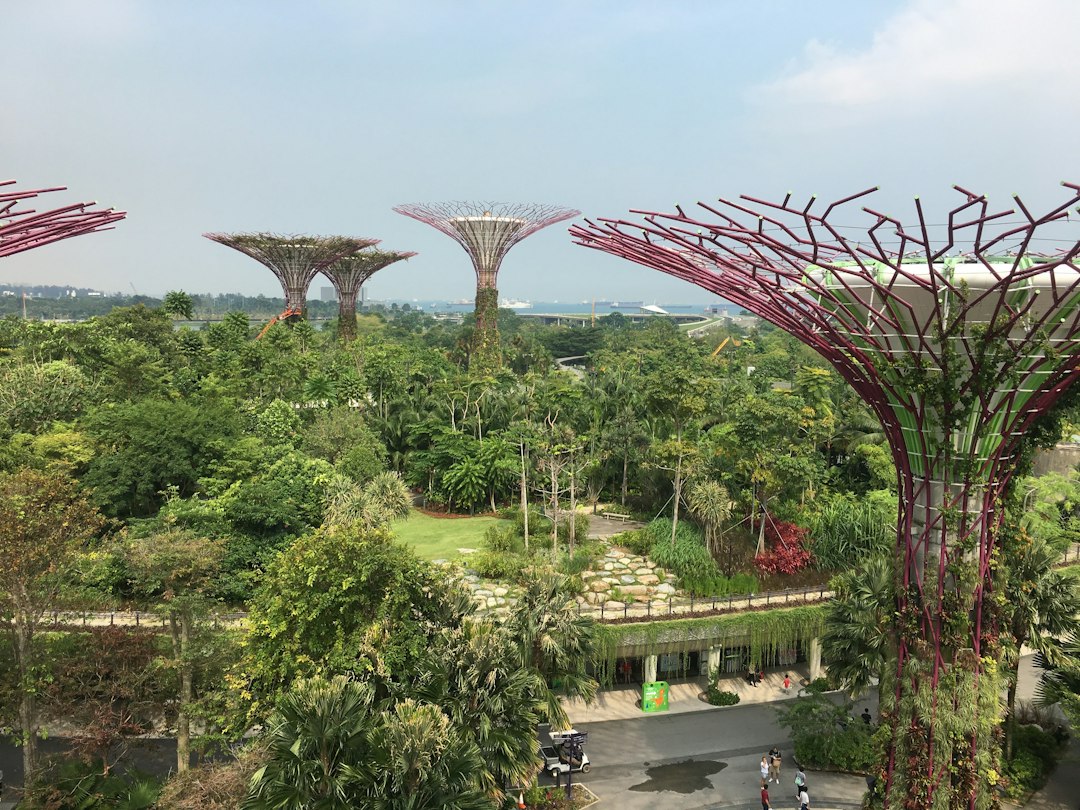 SkyPark: Mirantes de Sonho em Cingapura - Tower 3 Level 56 | Secret World Trip Planner