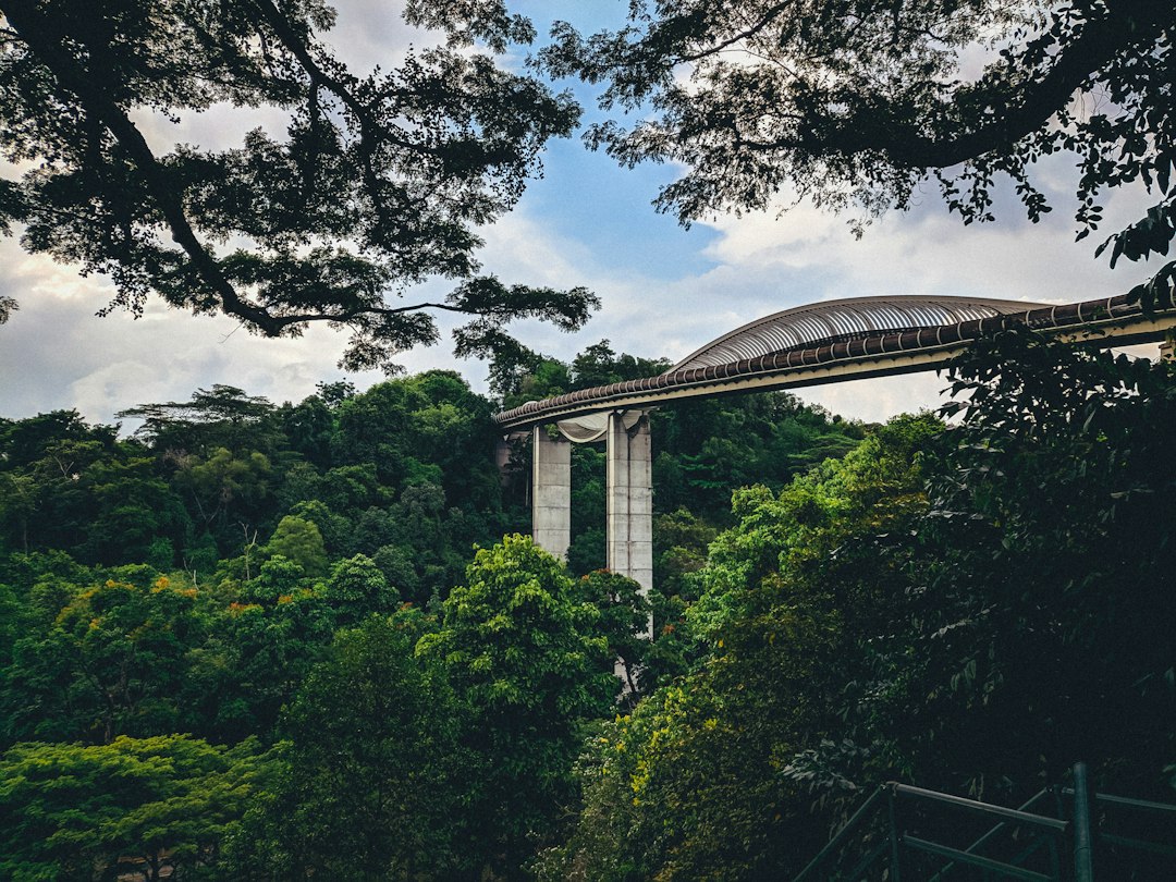 Henderson Waves: El Puente de los Sueños en Singapur | Secret World Trip Planner