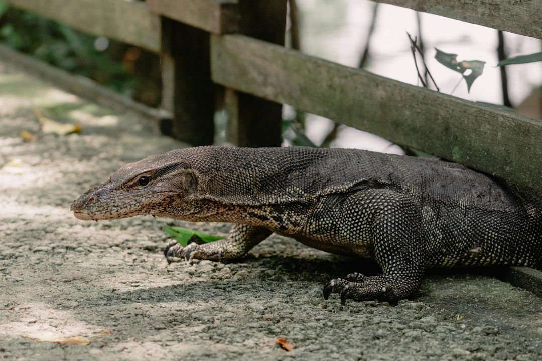 Explore o Paraíso Natural de Sungei Buloh - 301 Neo Tiew Cres | Secret World Trip Planner