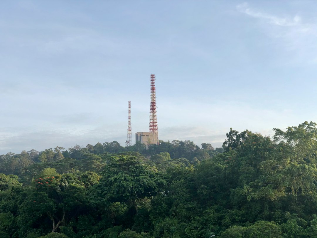 Descubra a Magia da Reserva Natural de Bukit Timah - Hindhede Dr | Secret World Trip Planner