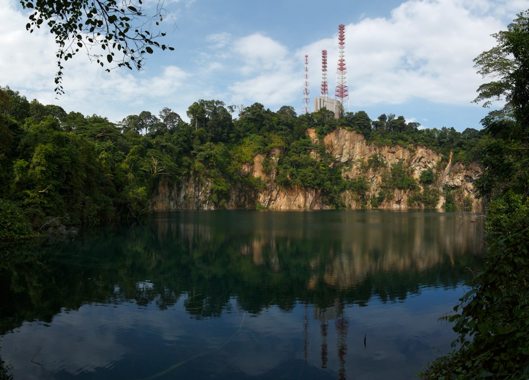 Scopri la Magia del MacRitchie Reservoir - MacRitchie Reservoir | Secret World Trip Planner