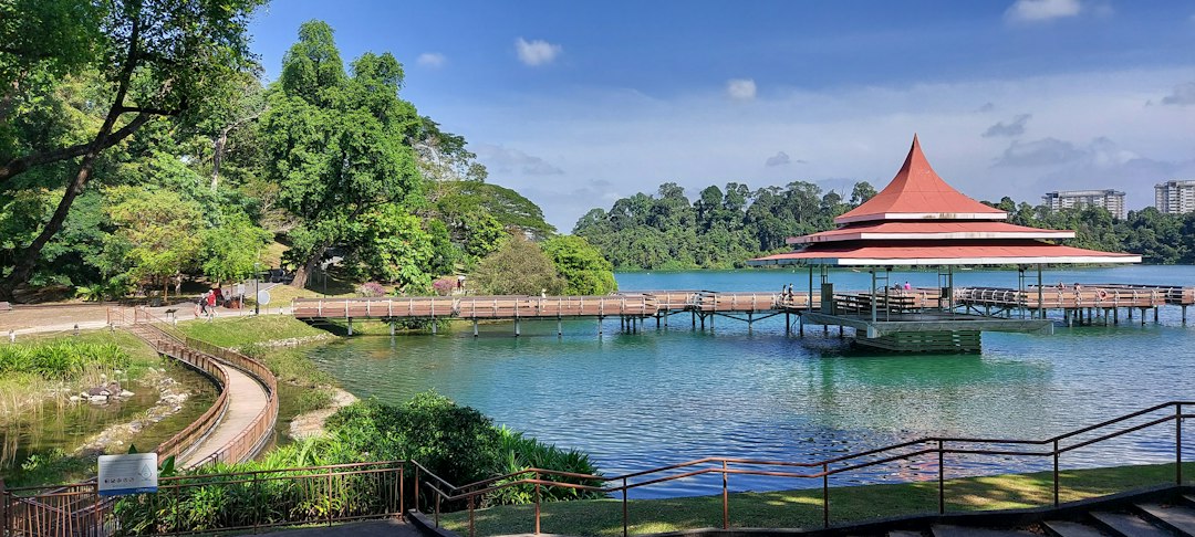 Discover the Magic of MacRitchie Reservoir - MacRitchie Reservoir | Secret World Trip Planner