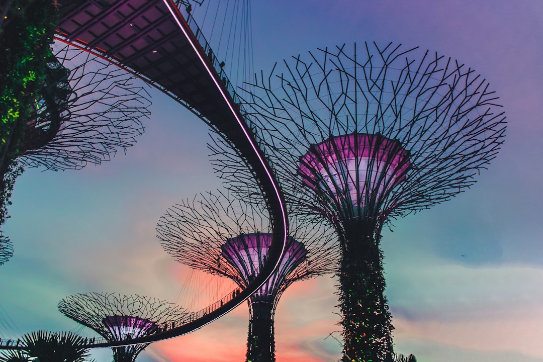 Erkundung der Gärten von Gardens by the Bay - 18 Marina Gardens Dr | Secret World Trip Planner