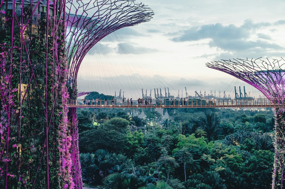 Exploration des Jardins de Gardens by the Bay - 18 Marina Gardens Dr | Secret World Trip Planner