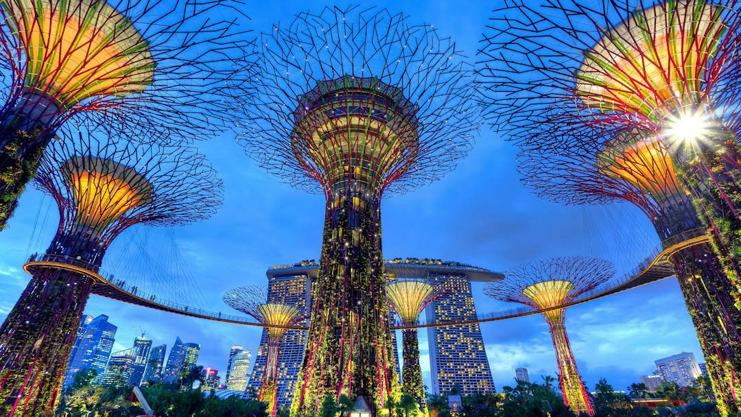 Explorando los Jardines de Gardens by the Bay - 18 Marina Gardens Dr | Secret World Trip Planner