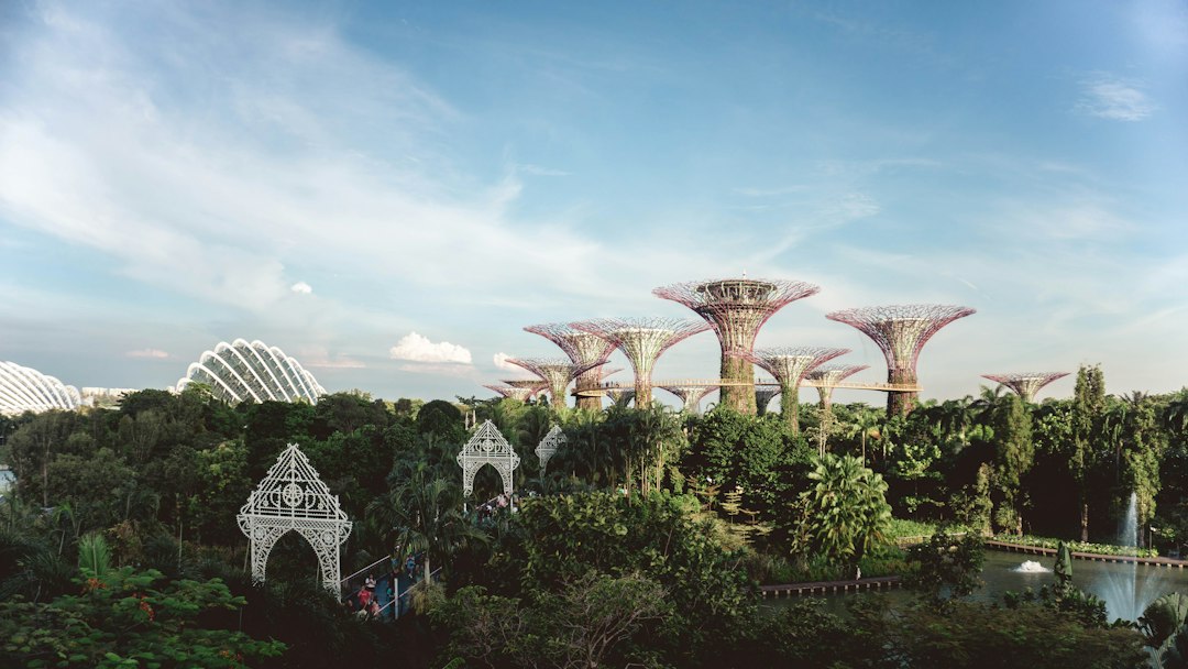 Explorando os Jardins de Gardens by the Bay - 18 Marina Gardens Dr | Secret World Trip Planner