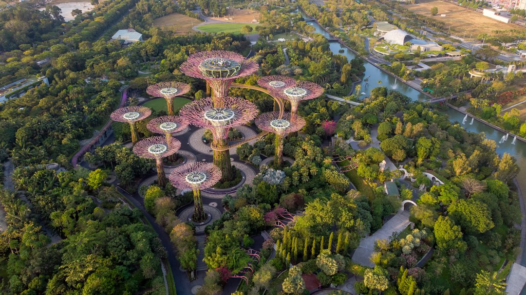 Исследуя сады Gardens by the Bay - 18 Marina Gardens Dr | Secret World Trip Planner