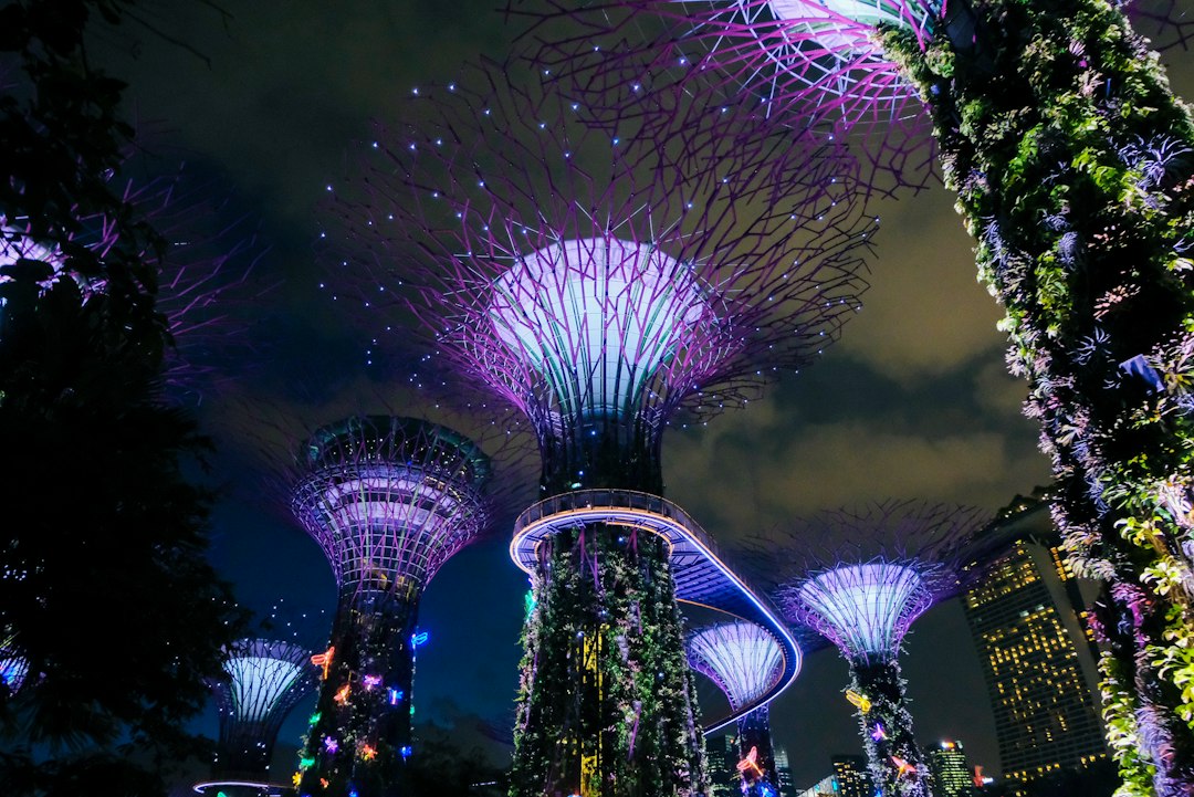 Scopri i Giardini Botanici di Singapore - 1 Cluny Rd | Secret World Trip Planner