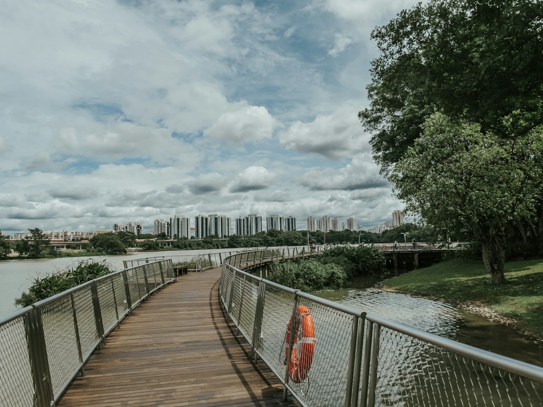 Discover the Magic of Jurong Lake Gardens in Singapore - Yuan Ching Rd | Secret World Trip Planner