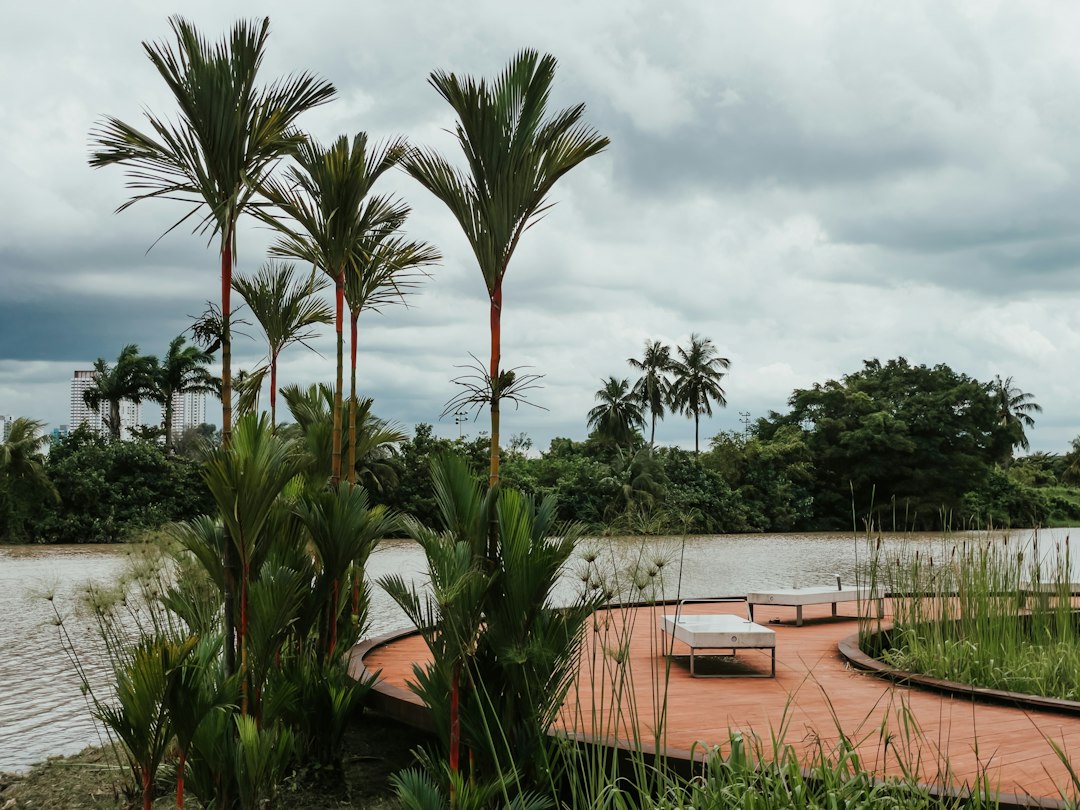Descubre la magia de los Jardines del Lago Jurong - Yuan Ching Rd | Secret World Trip Planner