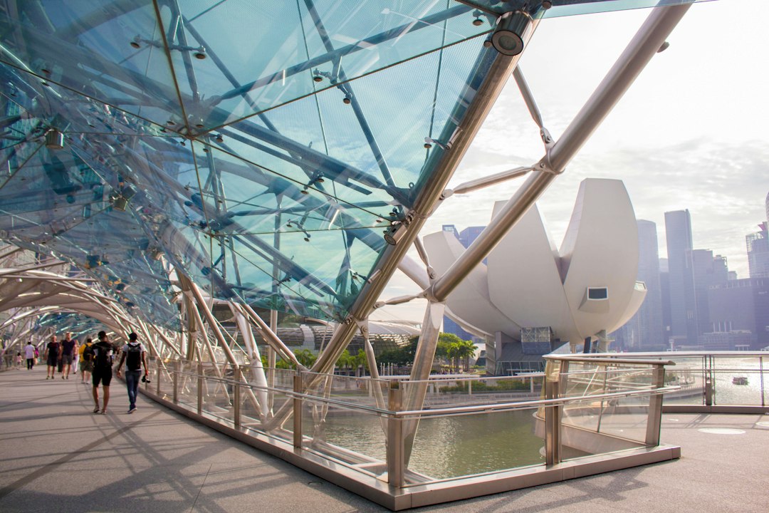 The Helix Bridge: A Journey into Singapore's Future | Secret World Trip Planner