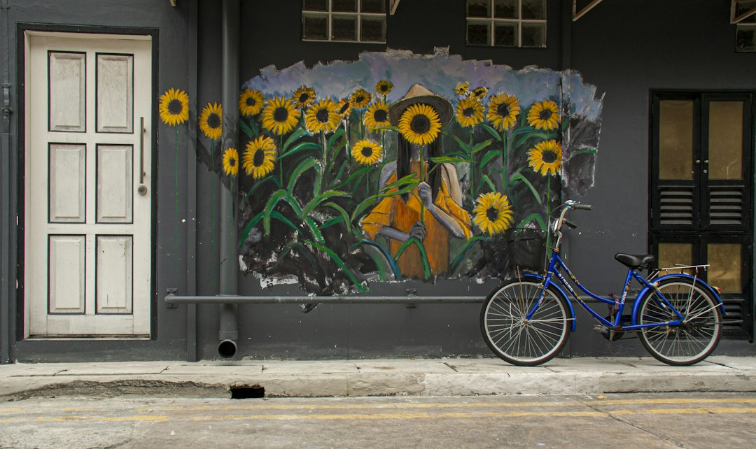 Descubre Haji Lane: Un Rincón de Singapur entre Historia y Arte - Haji Ln | Secret World Trip Planner