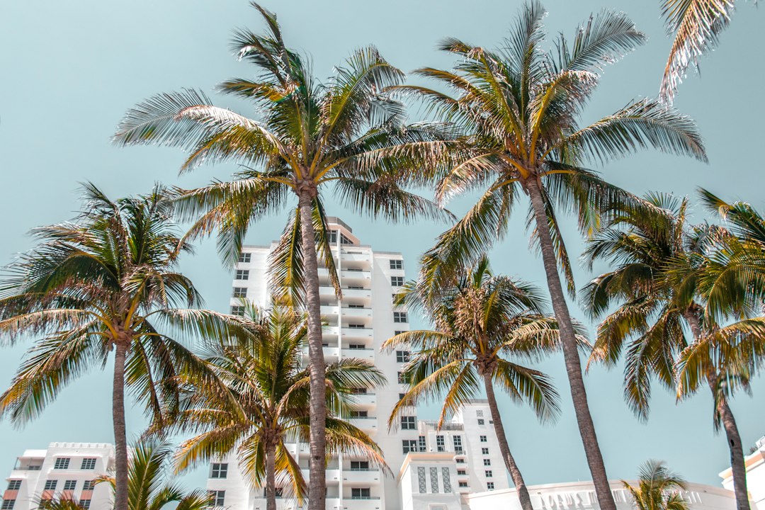 Секретный мир против Google Trips: лучший для Майами 2026 - Miami | Secret World Trip Planner