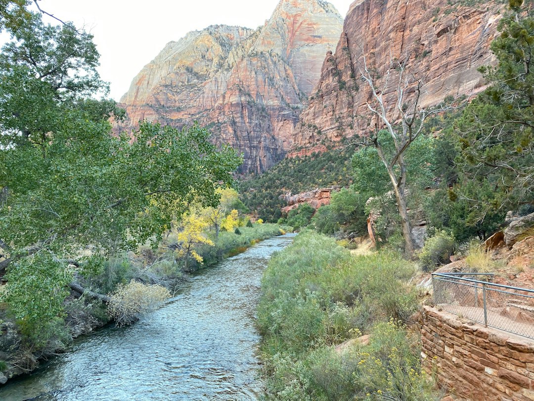 Les Narrows de Zion : marcher dans la rivière entre les rochers - Springdale | Secret World Trip Planner
