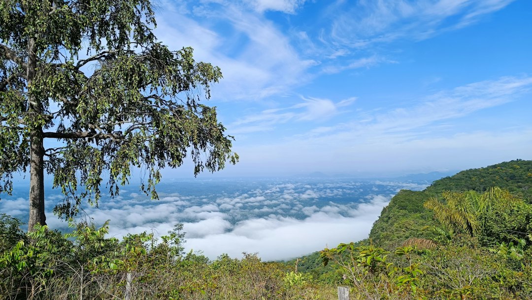Ват Пху Ток: монастырь в скале в Таиланде - Si Wilai District | Secret World Trip Planner