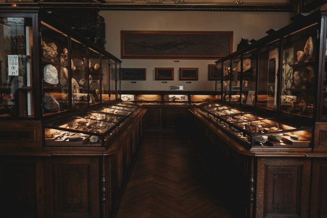 National Museum of Ethnology di Leiden: guida alla visita - Steenstraat 1B | Secret World Trip Planner