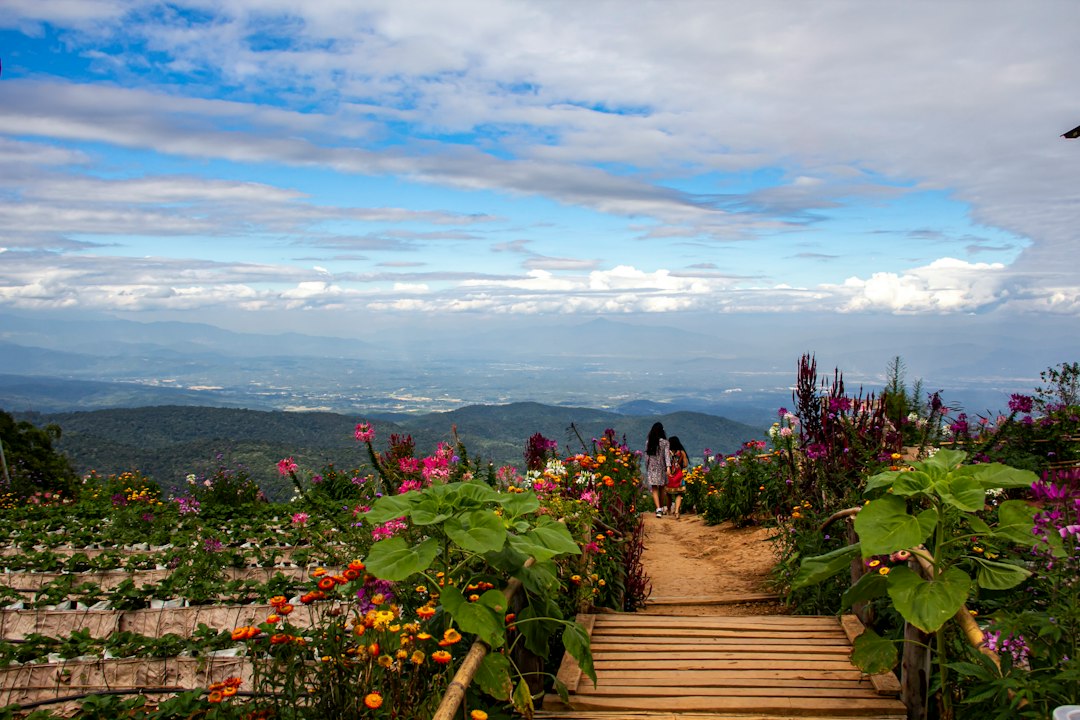 Doi Inthanon : explorez la forêt la plus haute de Thaïlande - Chom Thong District | Secret World Trip Planner