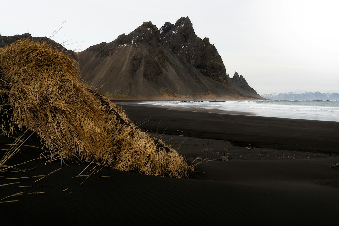 Stokksnes: Der schwarze Strand unter dem Vestrahorn - Stokksnesvegur 9720 | Secret World Trip Planner