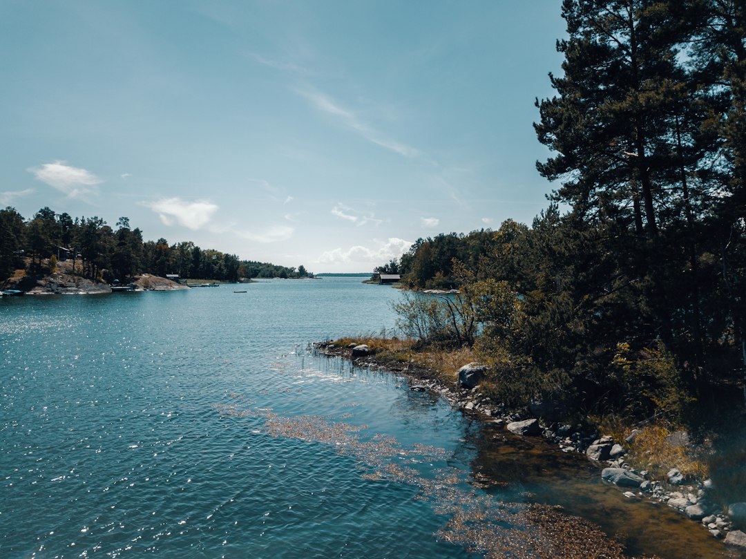 Skogskyrkogården: el cementerio-bosque de Estocolmo - Sockenvägen | Secret World Trip Planner