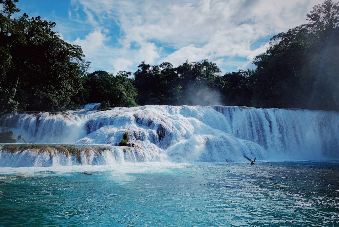 Agua Azul: The Turquoise Waterfalls of Chiapas - 29920 Cascada de agua azul | Secret World Trip Planner