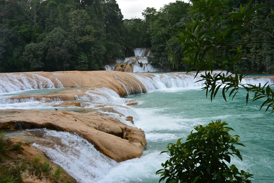 Água Azul: as deslumbrantes cachoeiras do Chiapas - 29920 Cascada de agua azul | Secret World Trip Planner