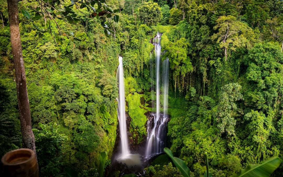 Sekumpul: Seven Waterfalls Up to 80m in Bali Jungle - Kota Singaraja | Secret World Trip Planner