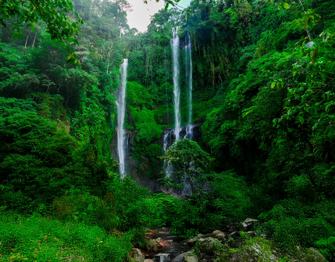 Sekumpul:巴厘岛丛林中的80米七重瀑布 - Kota Singaraja | Secret World Trip Planner