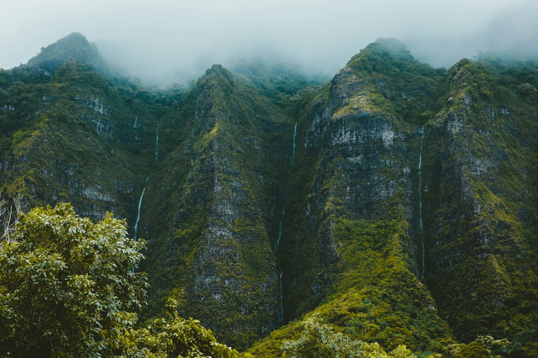 ʻAkaka Falls : la cascade de 135 mètres à Hawaï - Honomu | Secret World Trip Planner