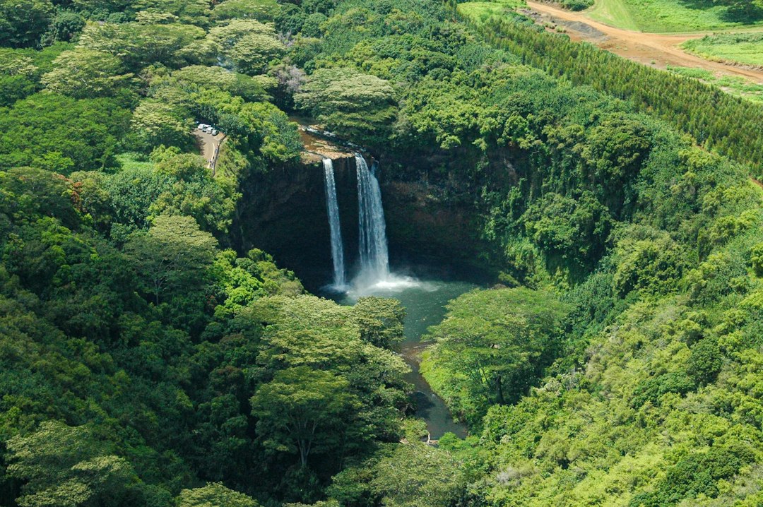 ʻAkaka Falls : la cascade de 135 mètres à Hawaï - Honomu | Secret World Trip Planner