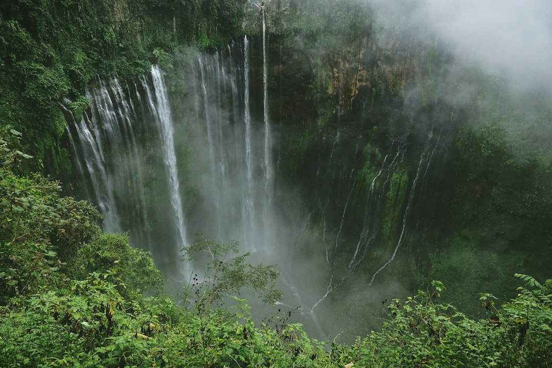 ʻAkaka Falls：夏威夷135米的壮丽瀑布 — Honomu