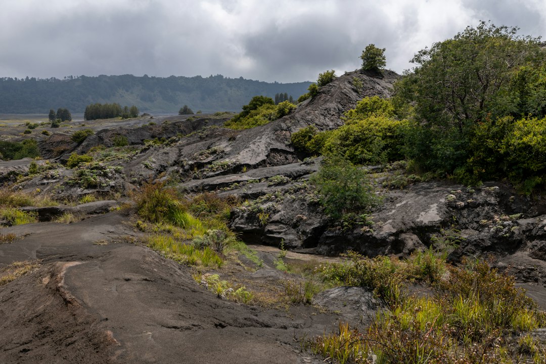 布罗莫沙海:黎明之火的火山 - Kabupaten Probolinggo | Secret World Trip Planner