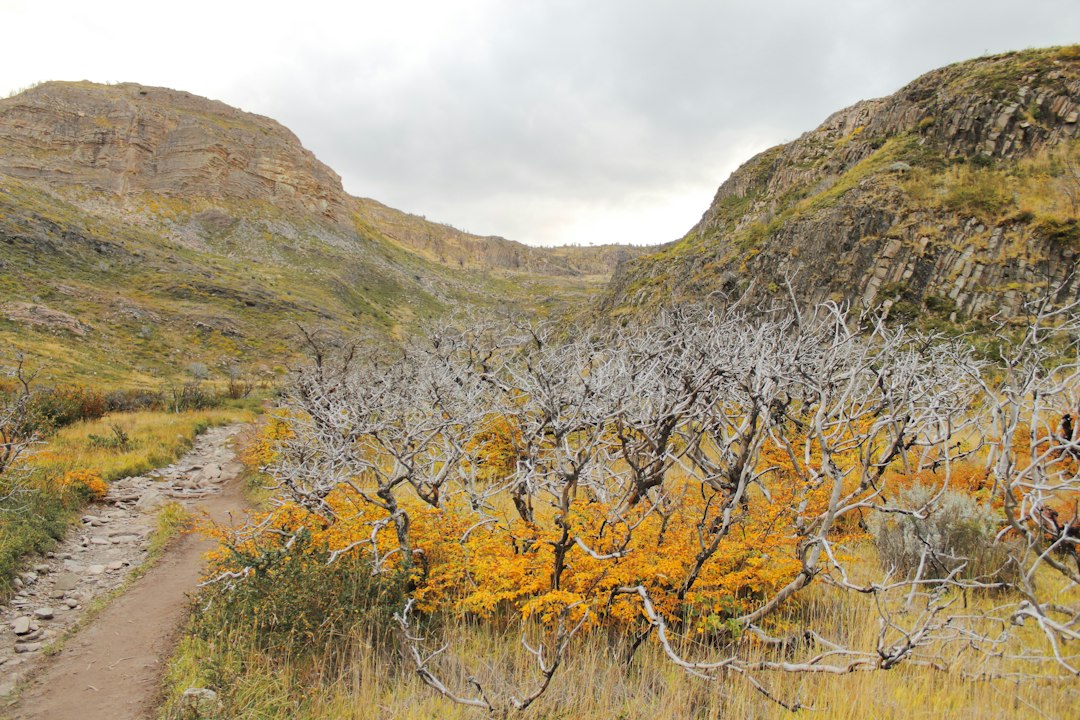 Nationalpark Patagonien: Wilde Natur im südlichen Chile - Cochrane | Secret World Trip Planner