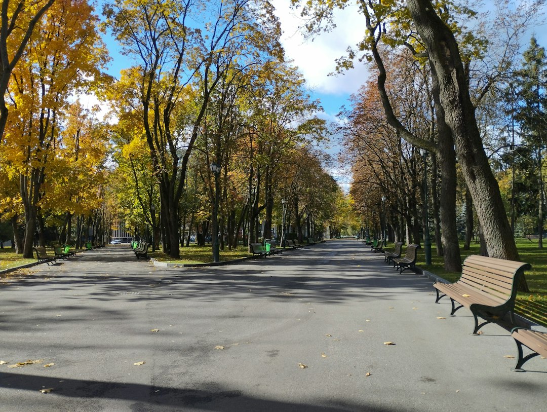 Zselici Star Park: Hungary's Night Sky Awaits You - Zselickisfalud | Secret World Trip Planner
