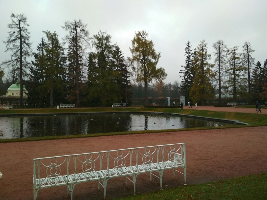 Zselici Csillagpark: Ungarns nächtlicher Himmel - Zselickisfalud | Secret World Trip Planner