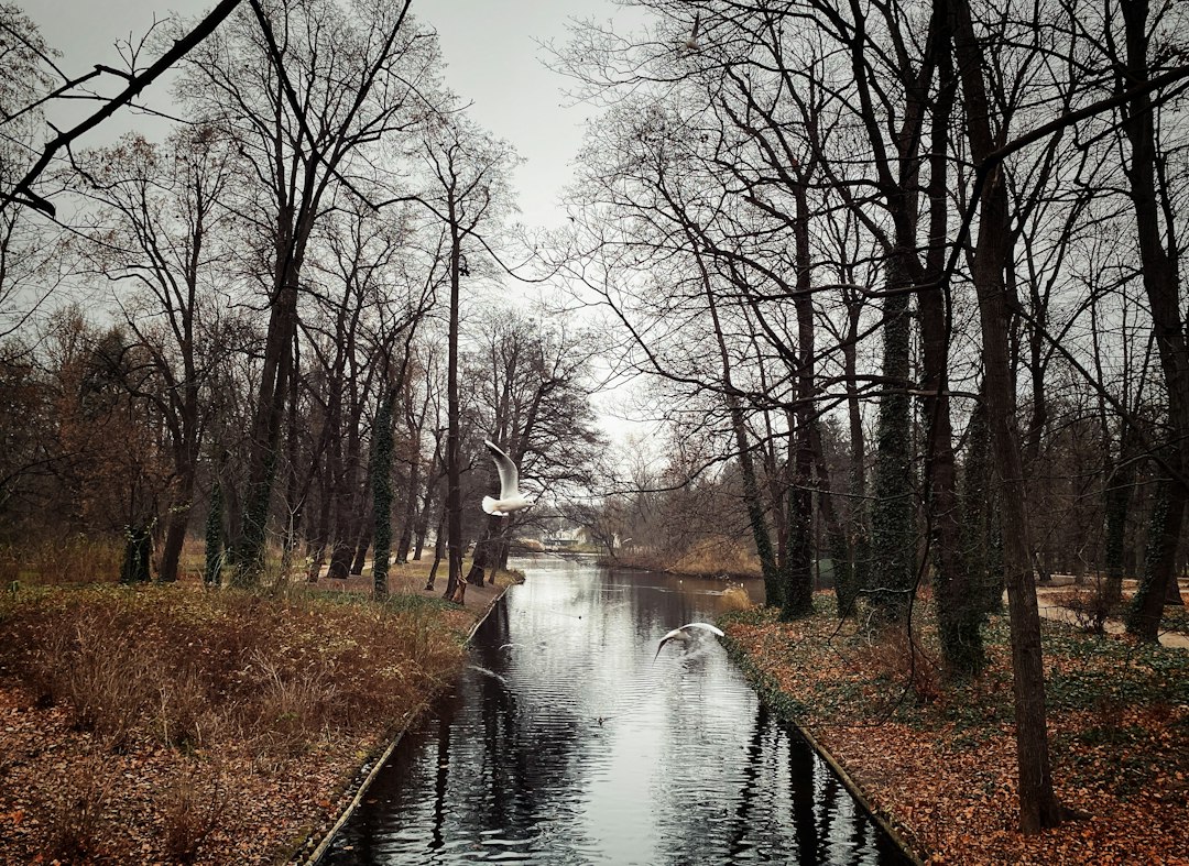Zselici Csillagpark : le ciel nocturne de Hongrie - Zselickisfalud | Secret World Trip Planner