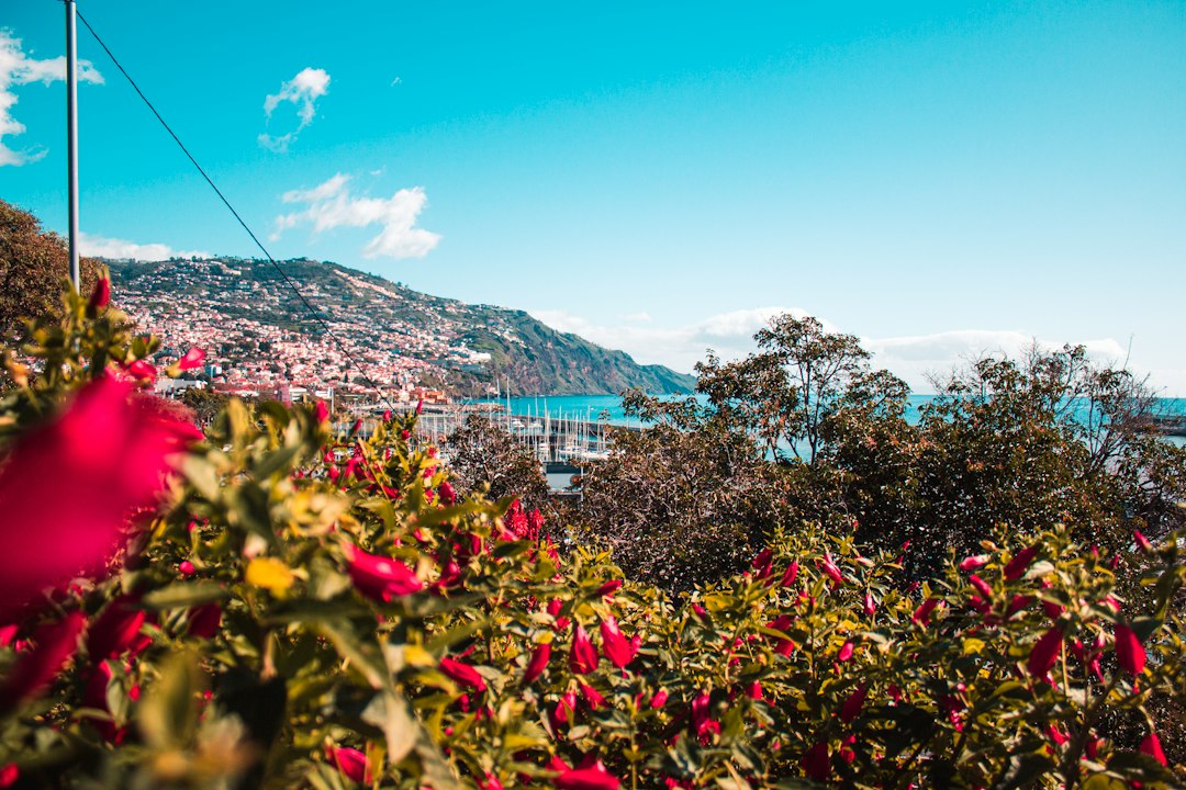 Botanischer Garten Madeira: Terrassen zwischen Himmel und Meer - 9060-345 Funchal | Secret World Trip Planner