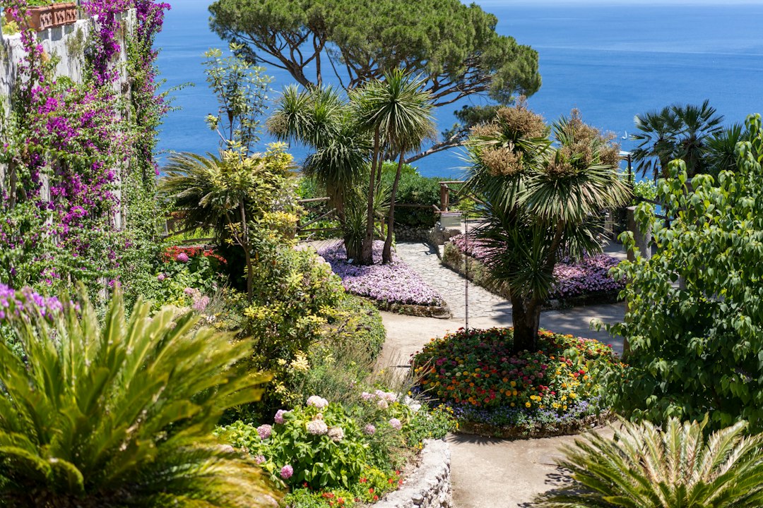 Jardín Botánico de Madeira: terrazas entre cielo y mar - 9060-345 Funchal | Secret World Trip Planner