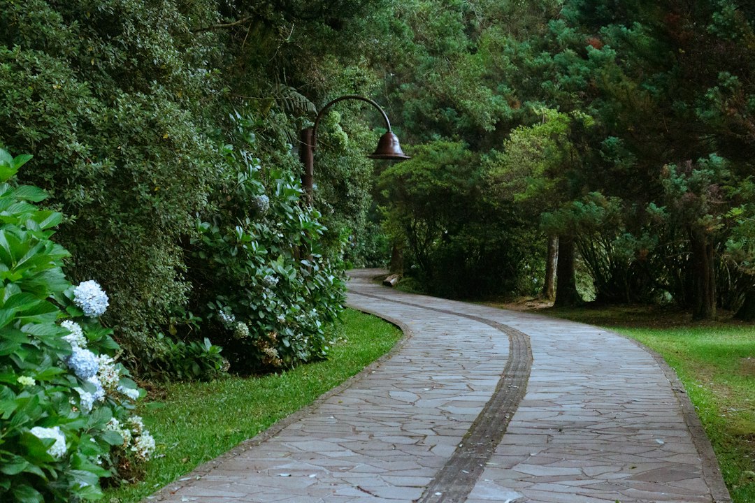Jardim Botânico da Madeira: terraços entre céu e mar - 9060-345 Funchal | Secret World Trip Planner
