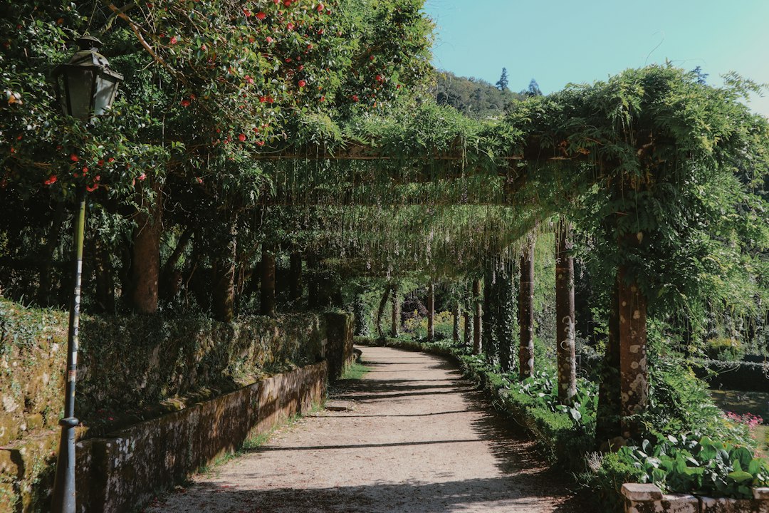 マデイラ植物園:空と海の間のテラス - 9060-345 Funchal | Secret World Trip Planner