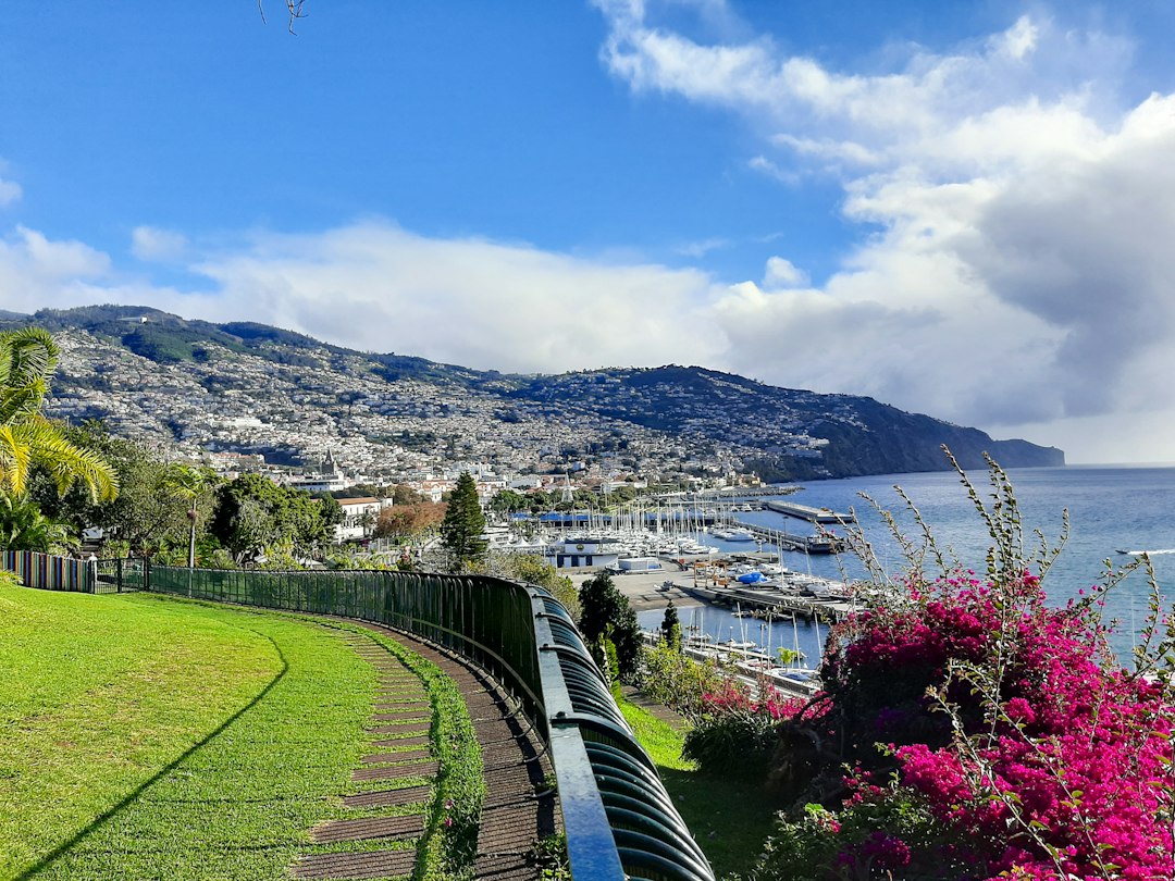 マデイラ植物園:空と海の間のテラス - 9060-345 Funchal | Secret World Trip Planner
